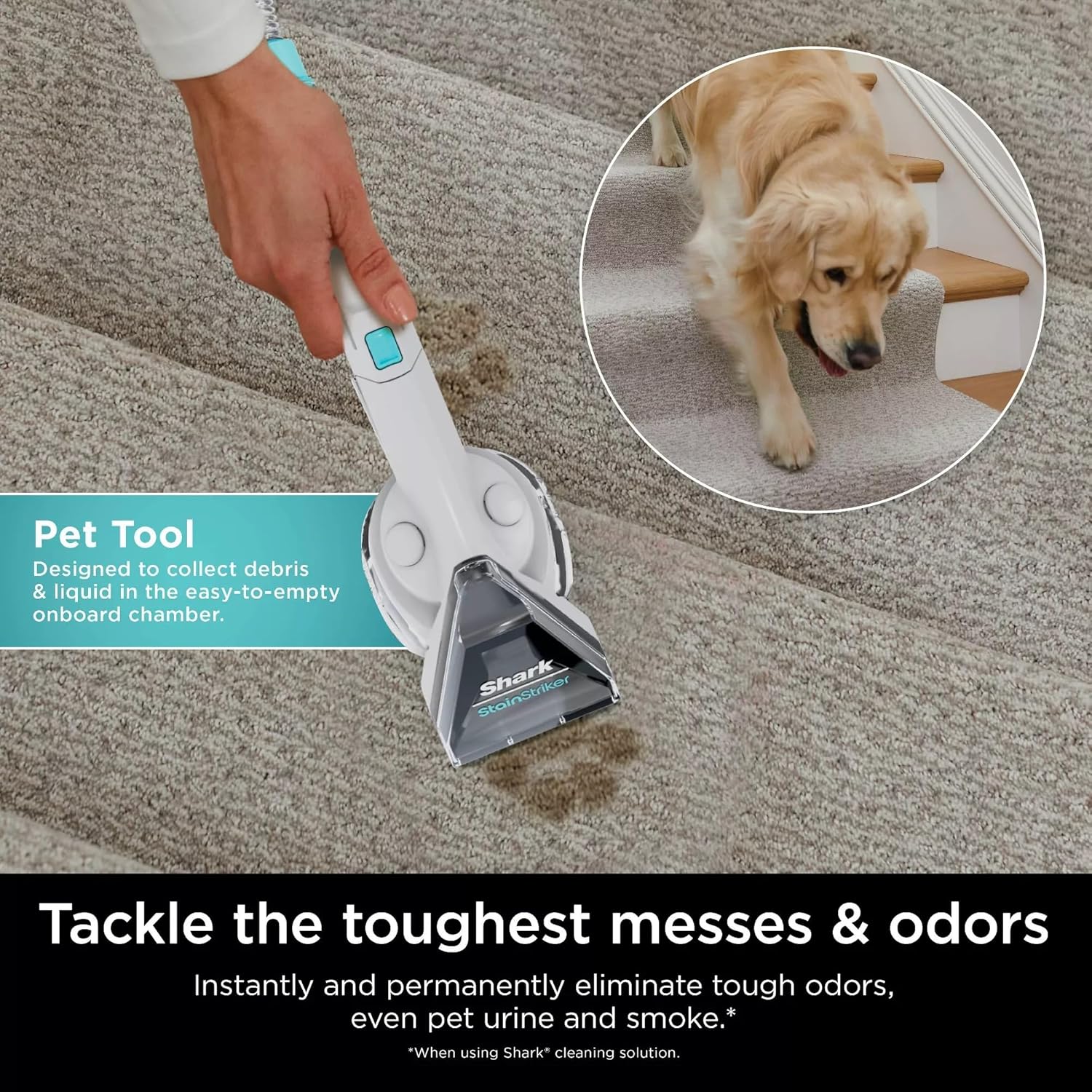 Shark PX201 StainStriker Portable Carpet & Upholstery Cleaner, Spot, Stain, & Odor Eliminator, 3 Attachments, Perfect for Pets, Carpet, Area Rugs, Couches, Upholstery, Cars & More, White (Renewed)