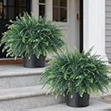 FOTEEWL Artificial Ferns Potted Plant for Front Door Decoration - 2 Sets UV Resistant Realistic Bush Faux Greenery Fern Potted Fake Plants for Home Garden Porch Farmhouse Decor