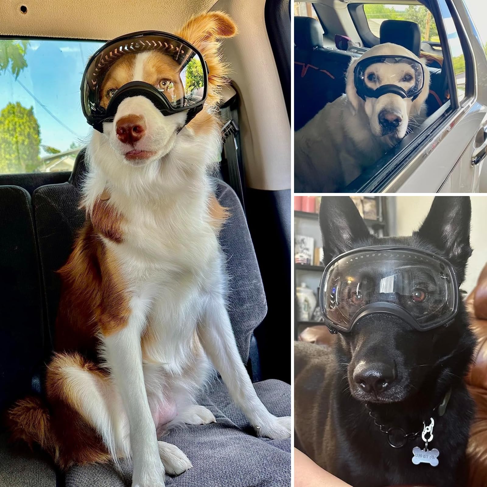 Occhiali da sole per cani, protezione UV, trasparenti, antivento, con cinghie elastiche per razze medio-grandi, montatura nera + lenti trasparenti