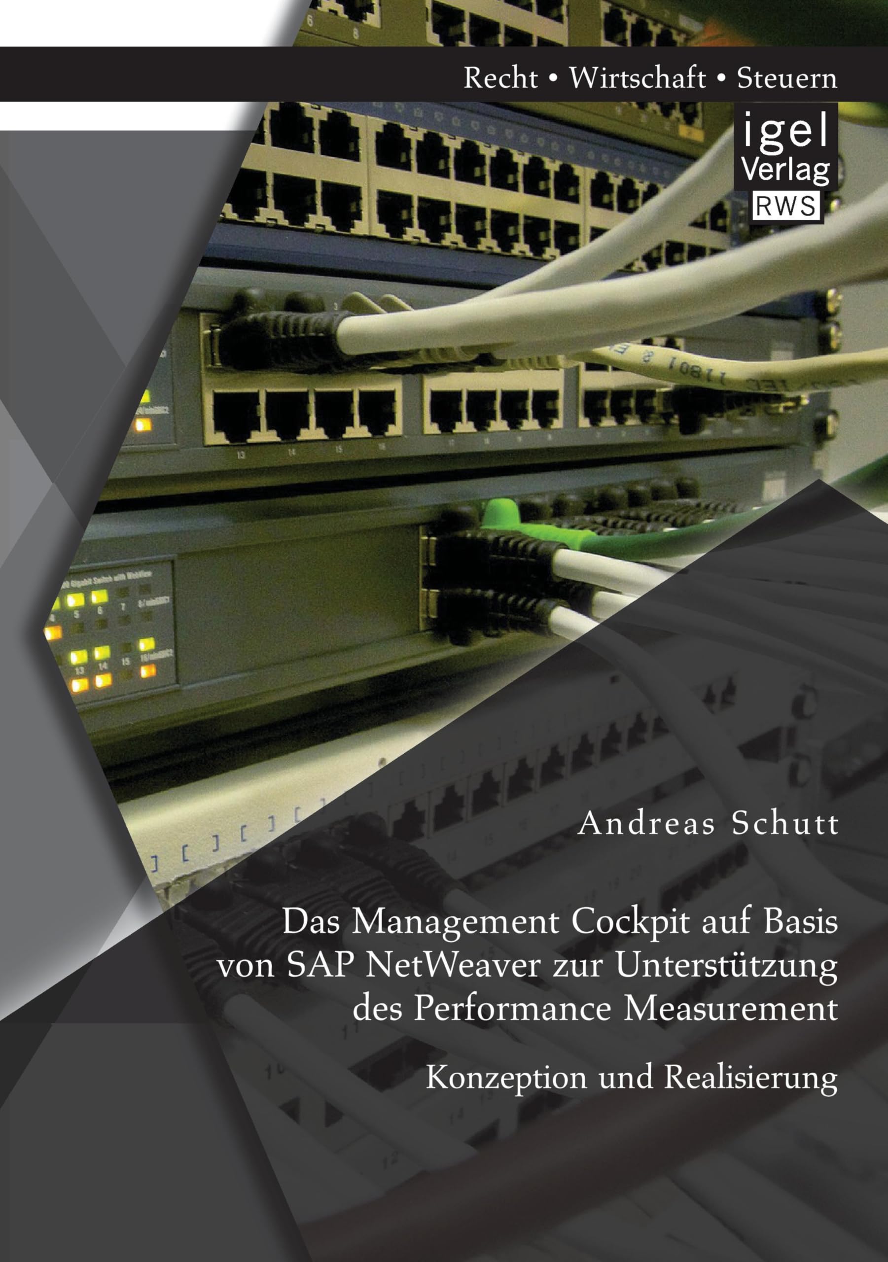 Das Management Cockpit auf Basis von Sap NetWeaver zur Unterstützung des Performance Measurement: Konzeption und Realisierung
