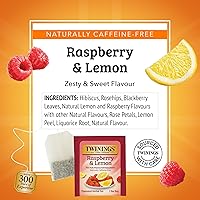 Vista 413 de Twinings Blackcurrant Breeze - Té negro, 6 paquetes de 20 unidades, bolsas de té envueltas individualmente, dulce, sabor picante, con cafeína