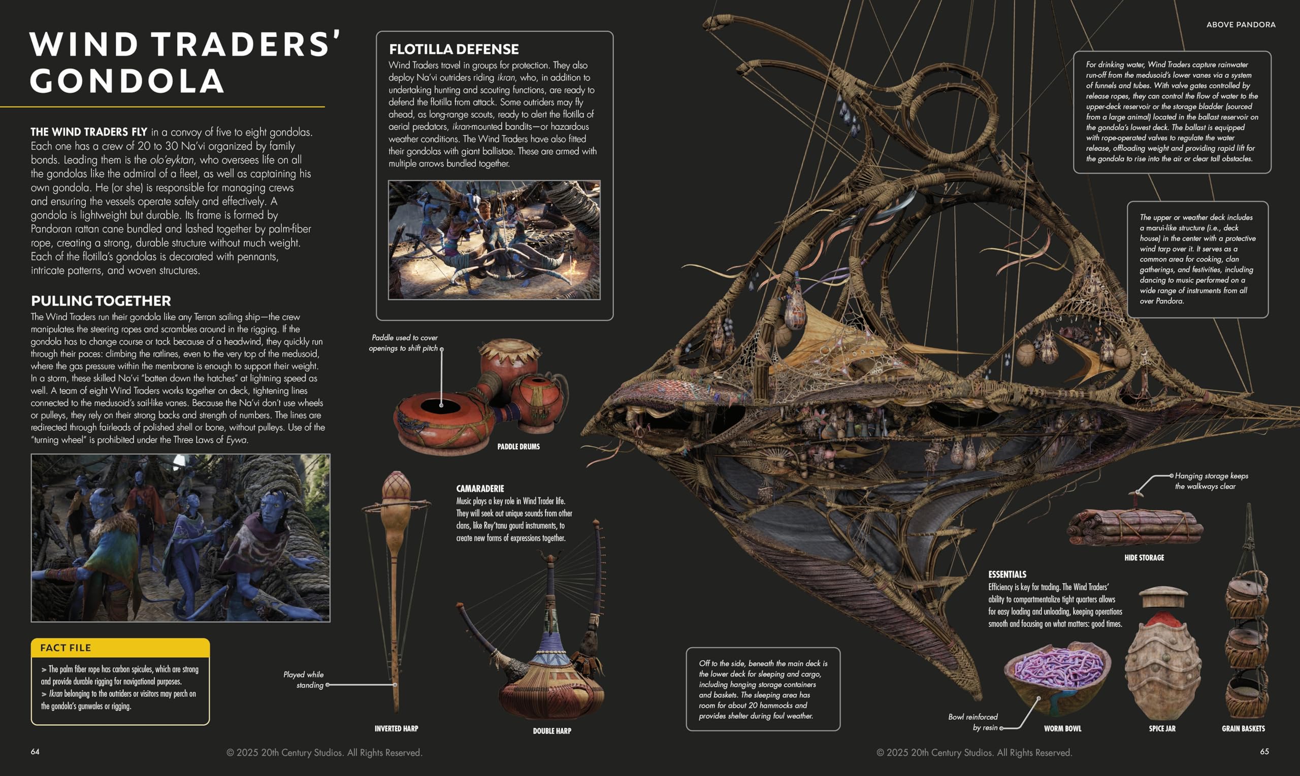 Avatar Fire and Ash The Visual Dictionary