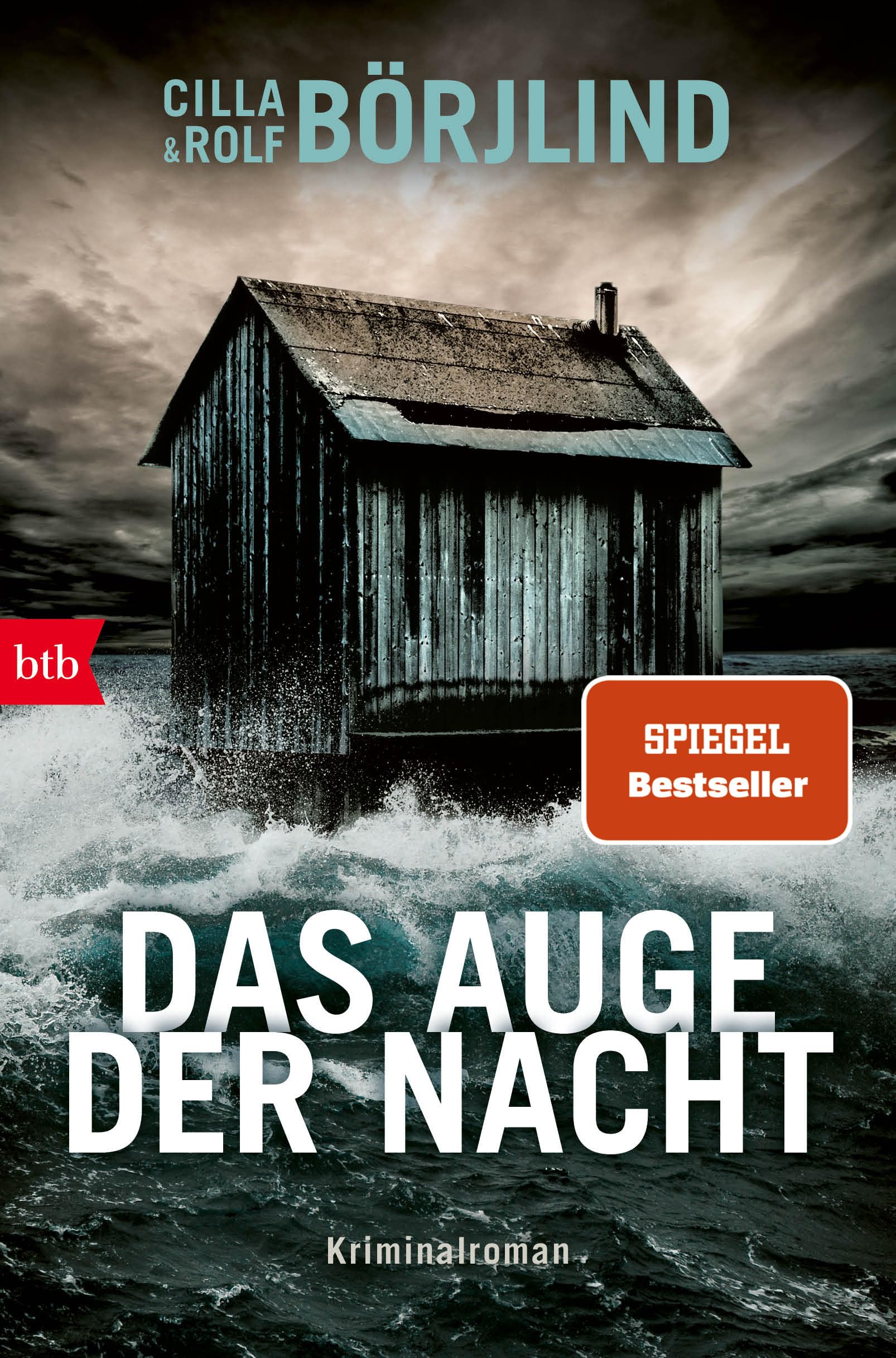 Das Auge der Nacht: Kriminalroman