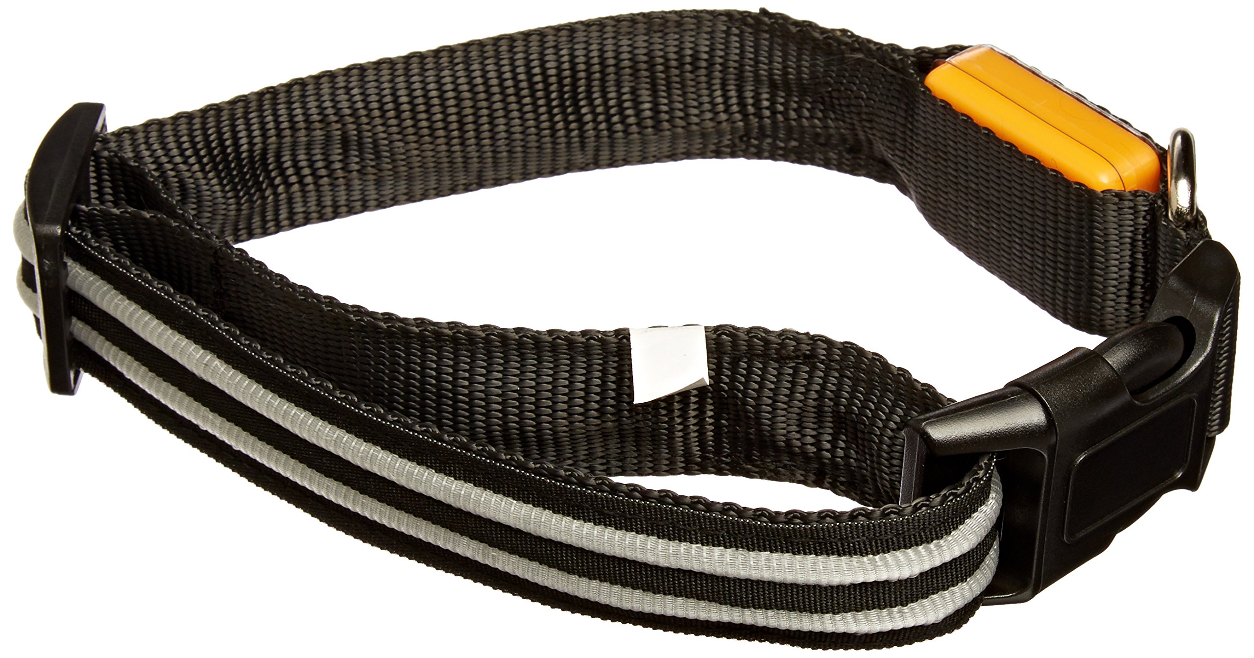 Shenzhen Tize Technology LED Fiber Optic Flashing Pet Collar, Medium, Orange