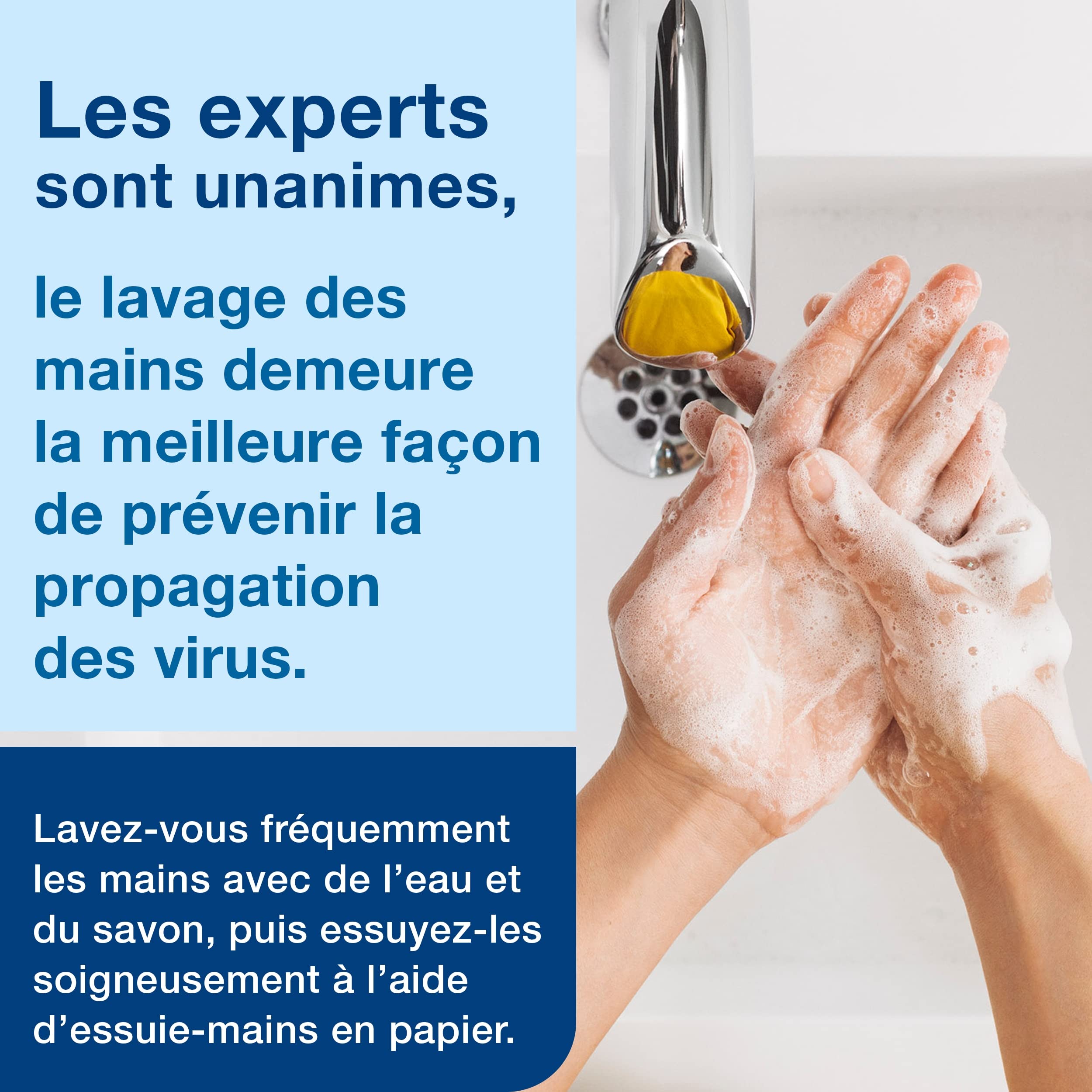 Tork Savon mousse antimicrobien pour les mains S4, qualité Premium, sans parfum, 6 x 1000 ml, 520800