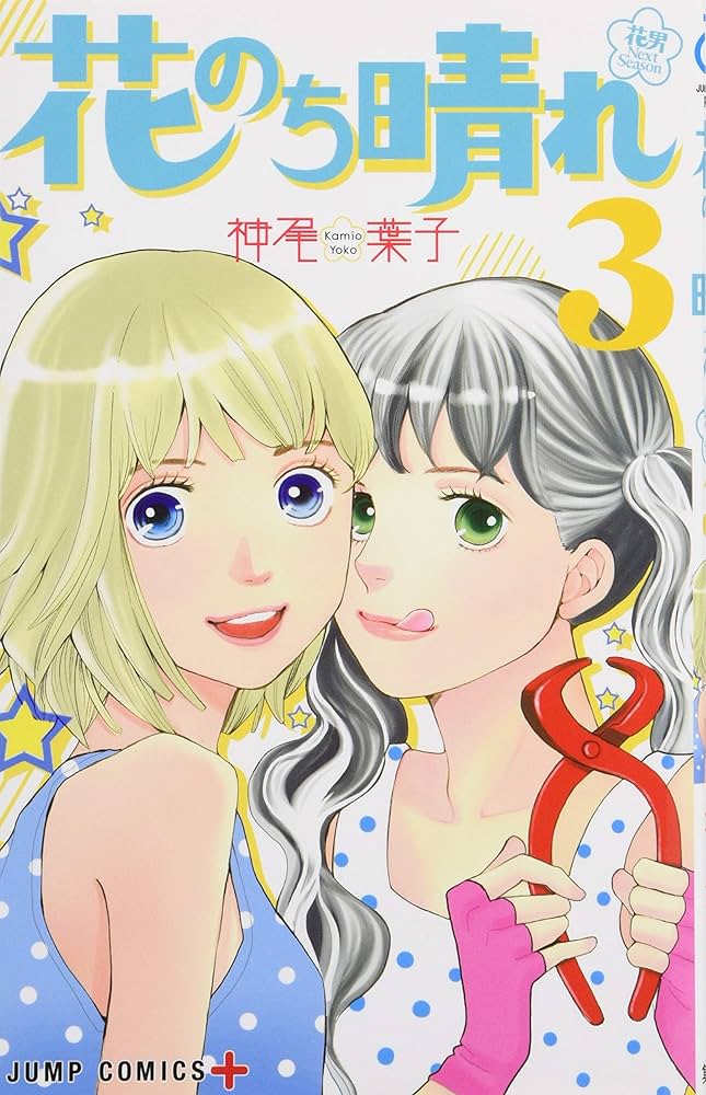 花のち晴れ DVD 3枚組 オリジナルフォトブック付き 花のち晴れ～花男Next Season～ Blu-ray BOX〈4枚組〉 - メルカリ