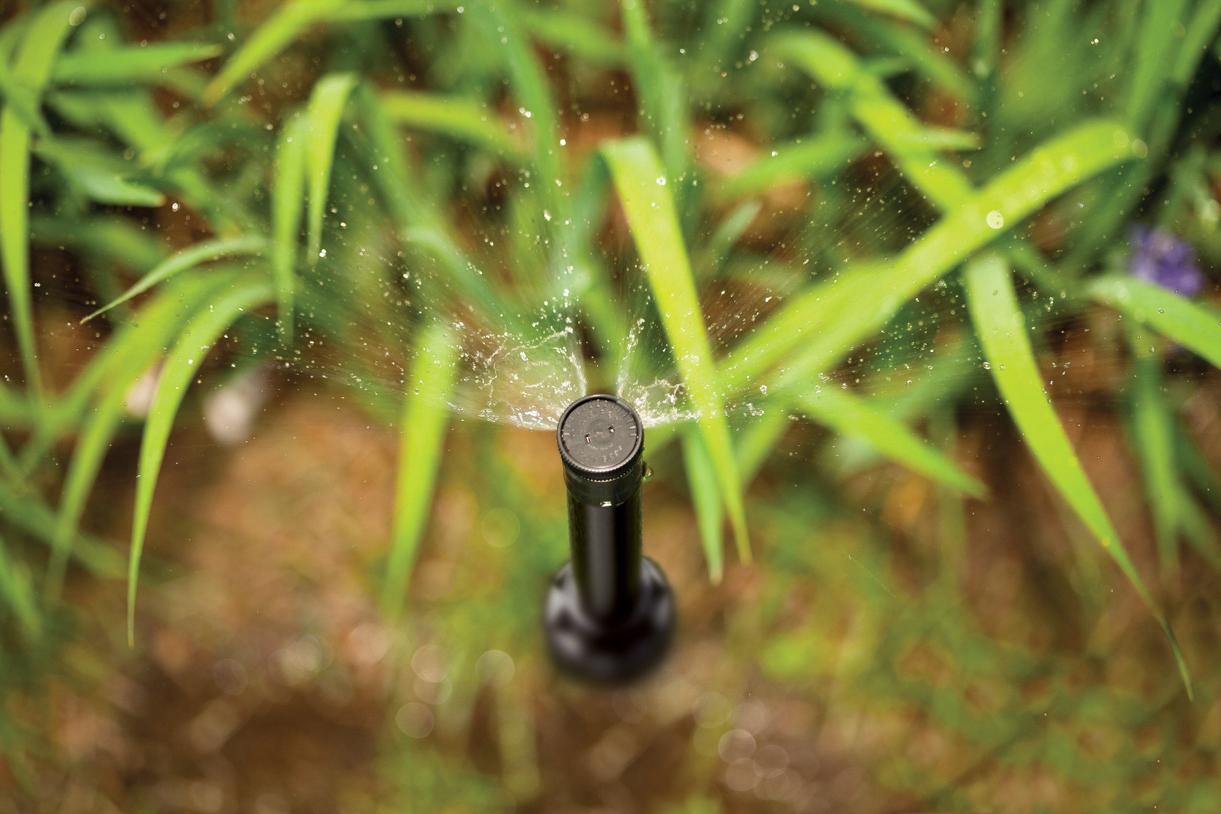 IrrigationKing RK0060マイクロスプリンクラーヘッド 15.8 GPH 60 LPH 100パック RK0060 Micro