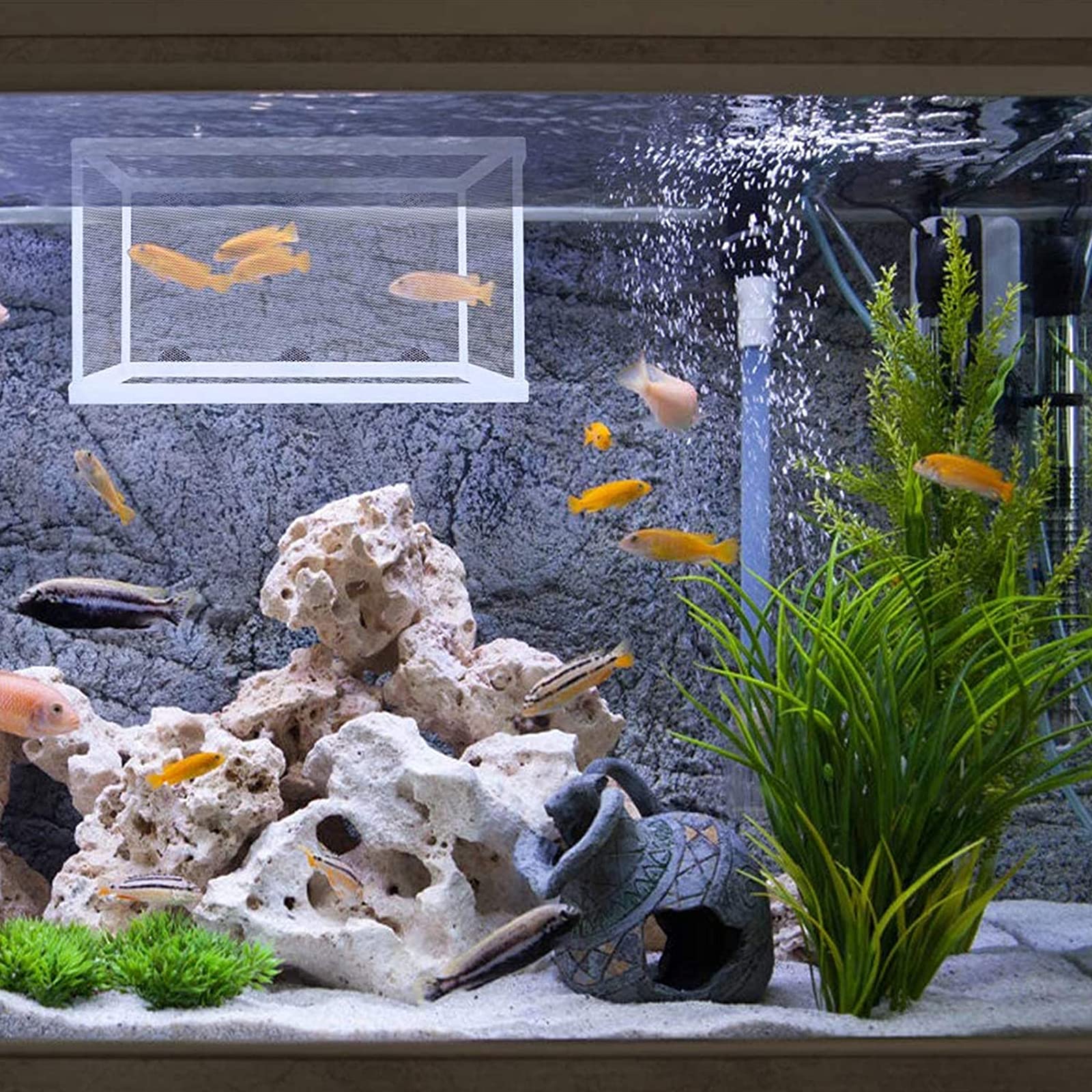2 Pièces Boîte de Frai, Filet Isolant pour Aquariums, Incubateur de Poissons d'aquarium, Convient pour Les Aquariums, Isoler Les Semis et Soutenir l'incubation et la Reproduction (Blanc)
