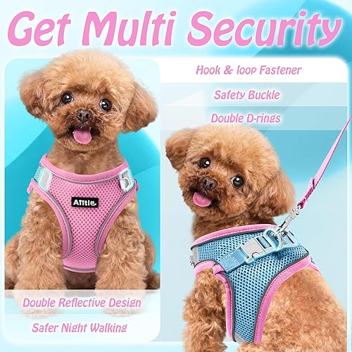 Miniatura 149 de AIITLE Arnés Escalonado para Perro y Juego de Correa - Chaleco Arnés a Prueba de Escape Sin Tirones con Malla Suave y Bandas Reflectantes, Arneses