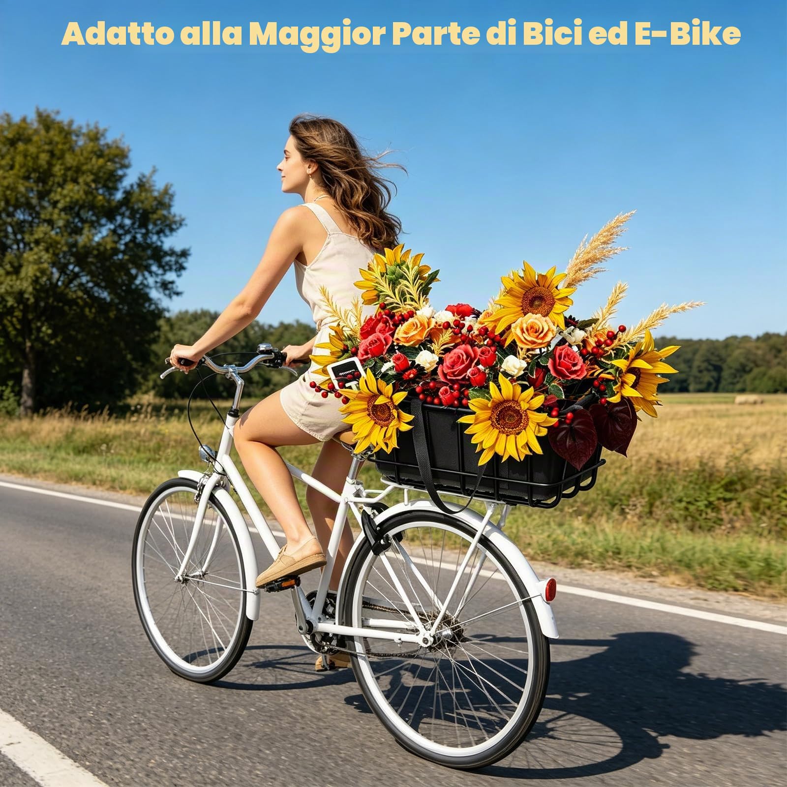 Cestino Posteriore Della Bicicletta, 43×30×20CM Cestino Posteriore Della Bicicletta con Rete di Carico e Fodera, Utilizzato per il Trasporto di Oggetti (Compris Les Outils D'installazione)