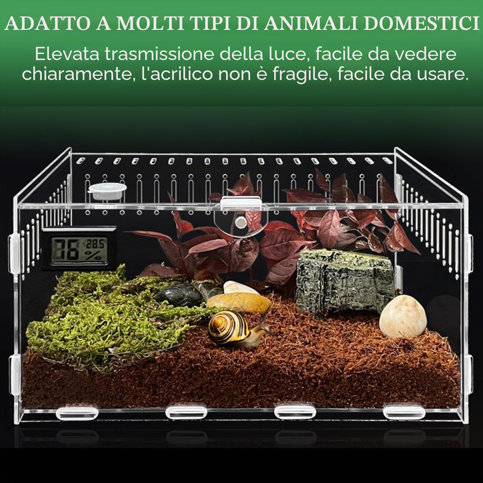 Terrario in acrilico: scatola di alimentazione per rettili, 30 x 20 x 15 cm, trasparente, mini terrario per lumache, ragni e rettili