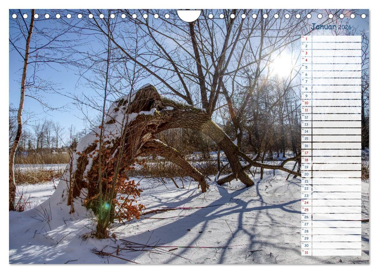 Zwischen Harz und Meer (Wandkalender 2026 DIN A4 quer), CALVENDO Monatskalender: So vielfältig ist Deutschlands Norden