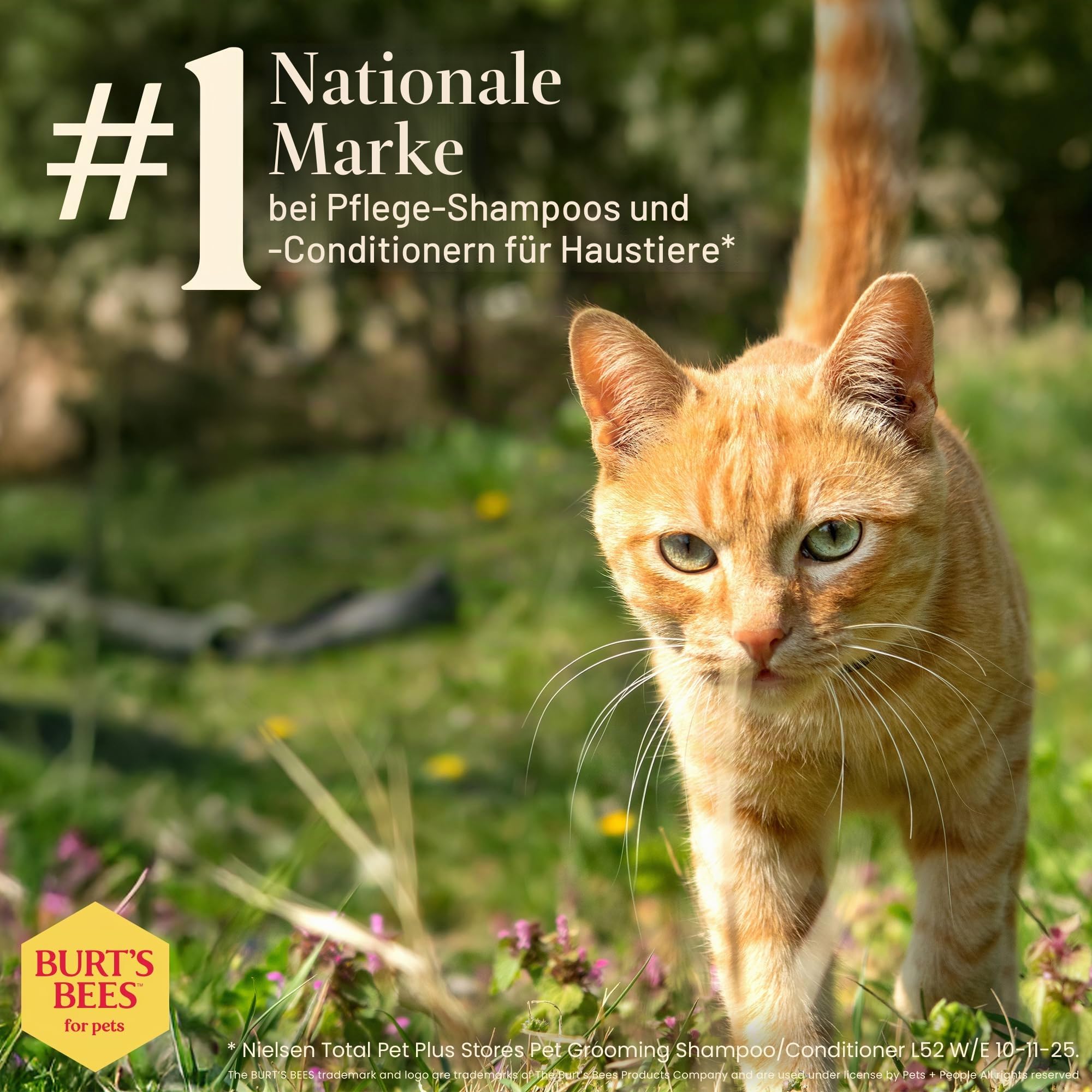 Burt's Bees Katzenshampoo, hypoallergen, mit natürlichen Inhaltsstoffen