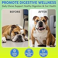 Vista 2 de Suplemento masticable digestivo probiótico para perros