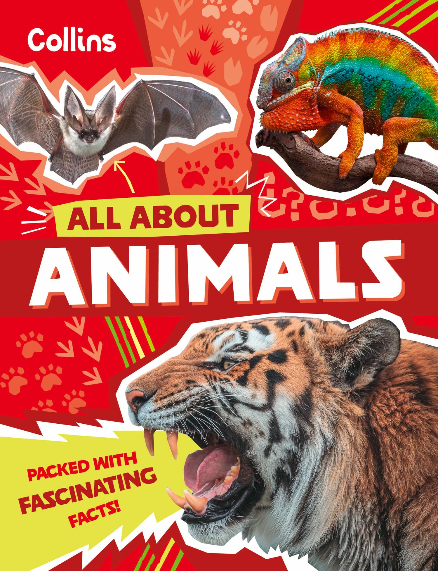 Animals: Discover fascinating facts about wildlife (All About)