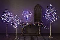 Vista 8 de Hairui Ramas de abedul iluminadas que funcionan con pilas, con 8 funciones, 100 luces multicolor y blancas cálidas, ramas preiluminadas