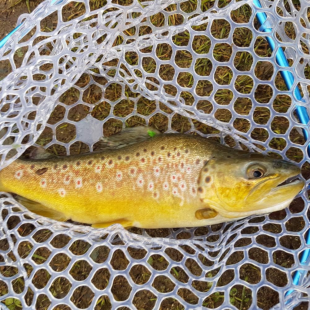 Fly Fishing Trout Flies Kit 16pcs Fly Fishing Lure for Trout Premium Dry Wet Flies Streamer Mayfly Emerger Flys Trout Fly Fishing Gear Bait Assorted : Sports & Outdoors