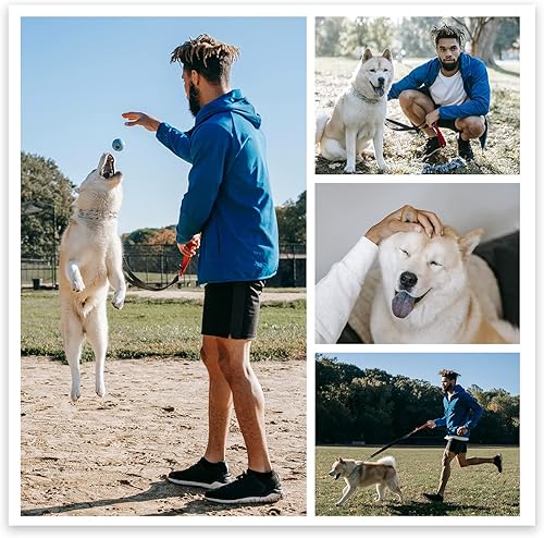 CCWACPP Lienzo de collage personalizado con tus fotos para mascotas, imágenes personalizadas para pared, lienzo multifoto personalizado para