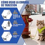 Ver la foto 7