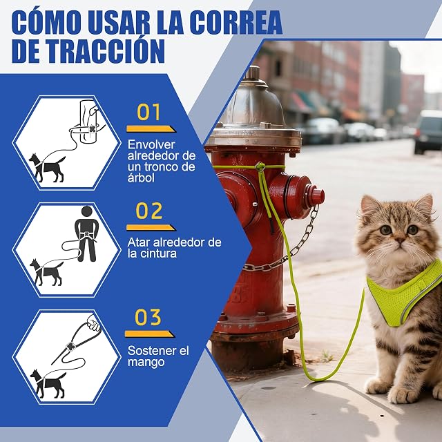 Foto 7 de 7 de Arnés para Gatos con Correa 255cm XXS (Pecho 27-34cm) Verde Limón