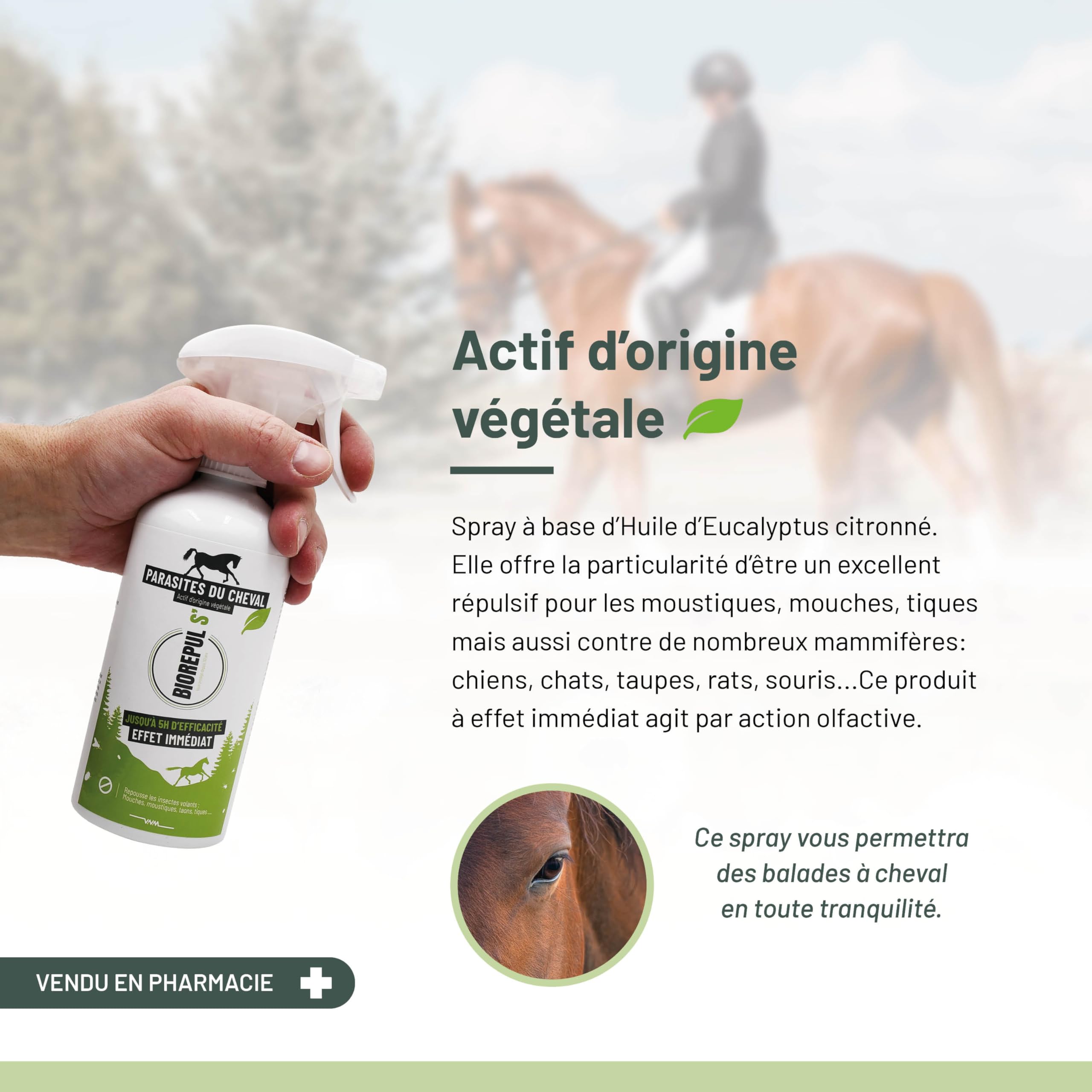 BIOREPUL'S - Spray Répulsif pour Mouches de Cheval - Parfum citronné à l'huile d'eucalyptus - Efficace jusqu'à 5h - 450 ML