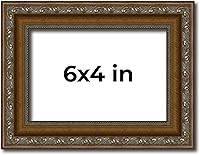 Vista 235 de Marco de fotos completo de madera dorada envejecida de 16 x 20 pulgadas con plexiglás acrílico UV, parte trasera de tablero de espuma y accesorios