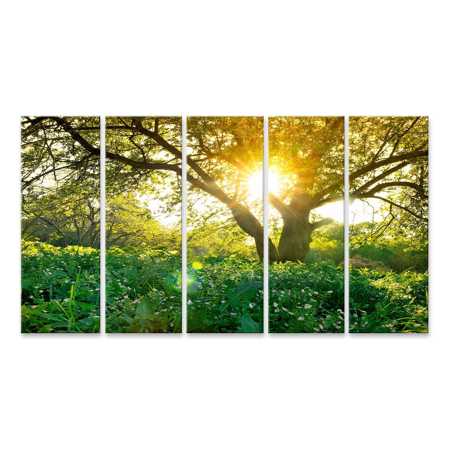islandburner cuadro sobre lienzo primavera árbol rayos de sol imágenes murales carteles
