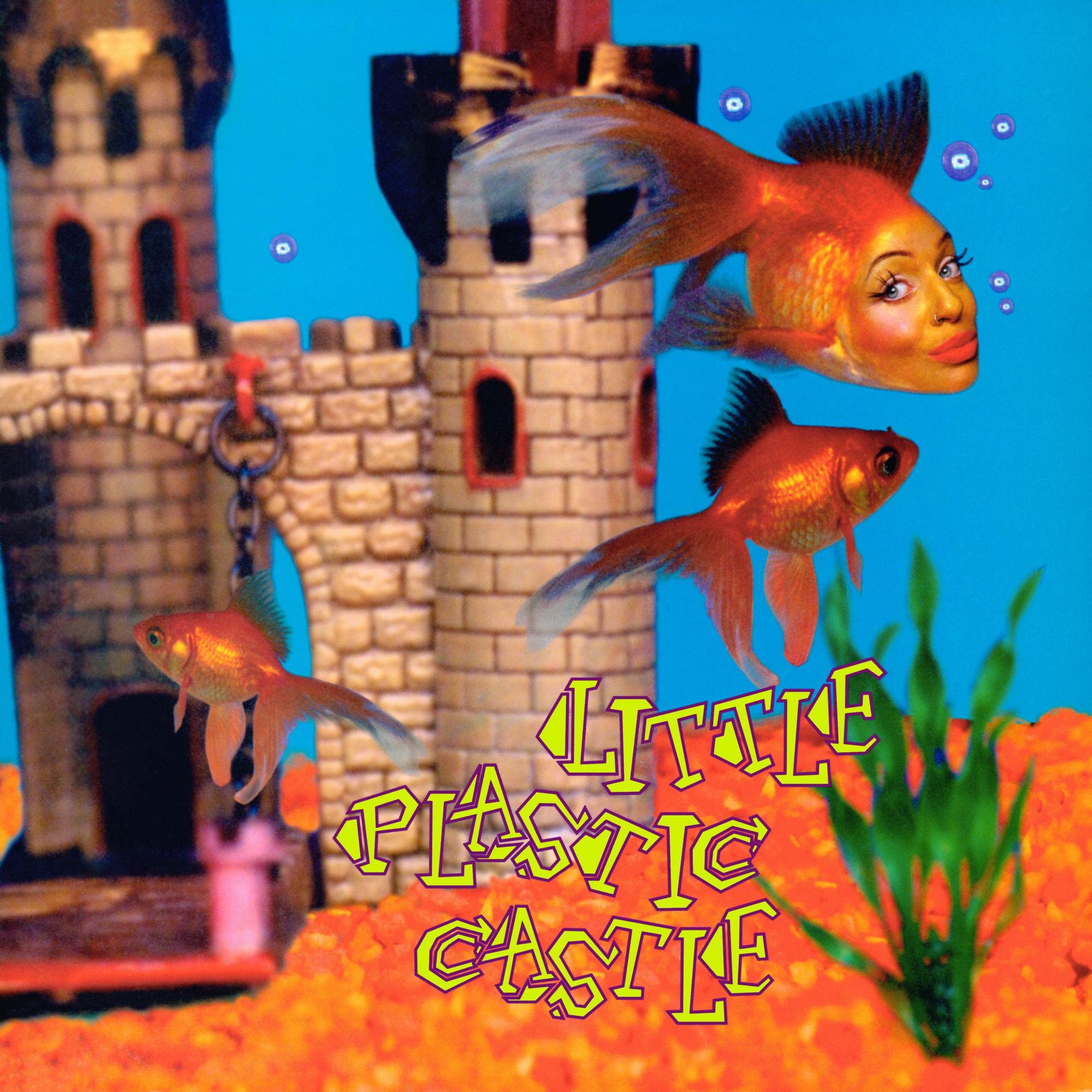 Little Plastic Castle (25th Anniversary Edition CD)