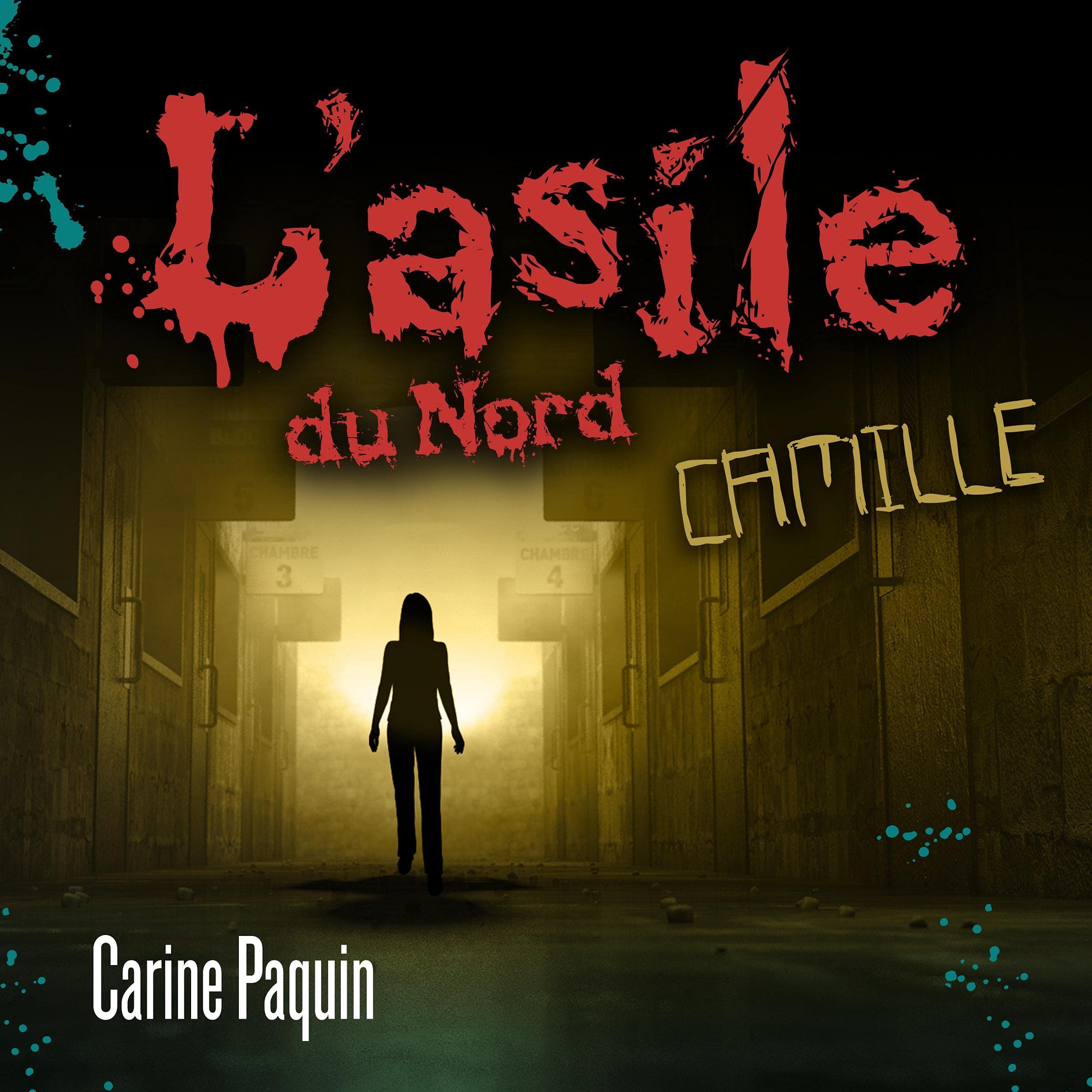 Cover art for L'asile du Nord - Camille [The Northern Asylum - Camille]