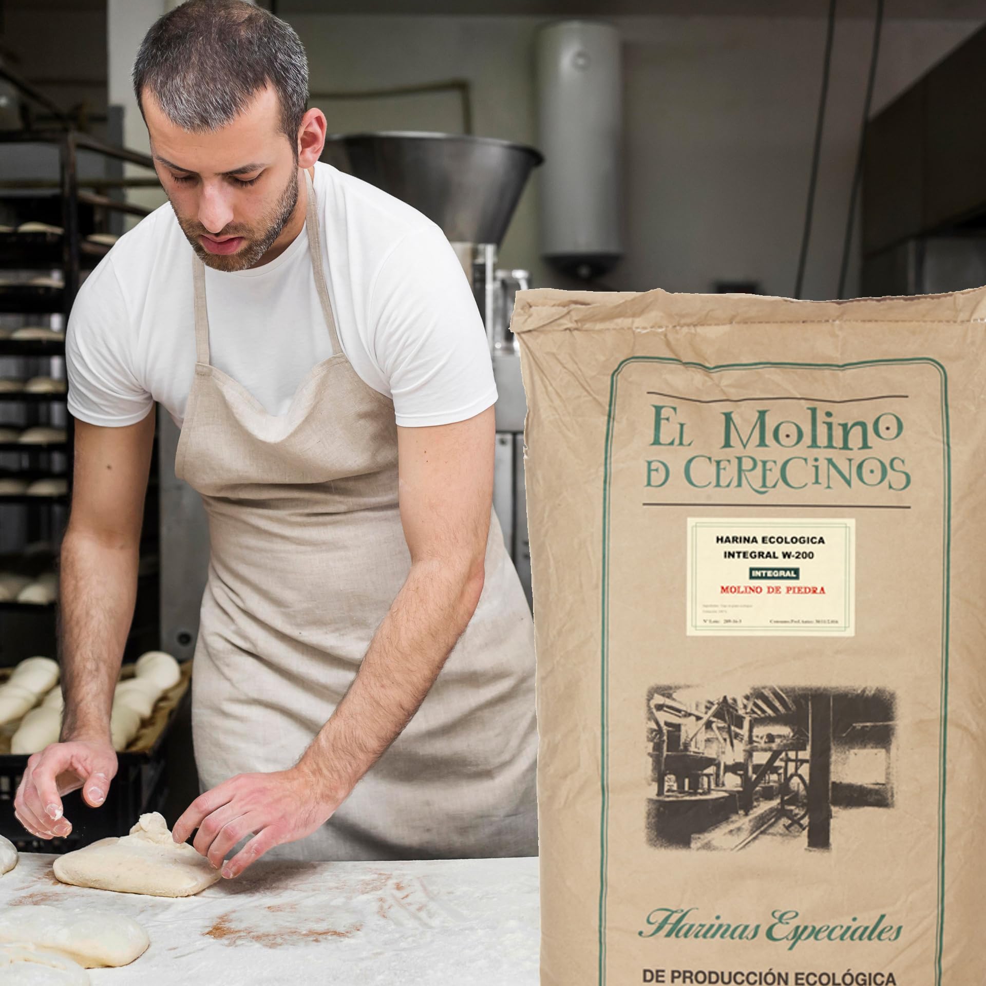 Harina de Trigo Ecológica Integral | Molida En Piedra | Trigos Ecológicos Certificados | Harina De Fuerza Equilibrada W-200, Alta en Fibra | Harina Ecológica Ideal Para Recetas Saludables | 25 Kg