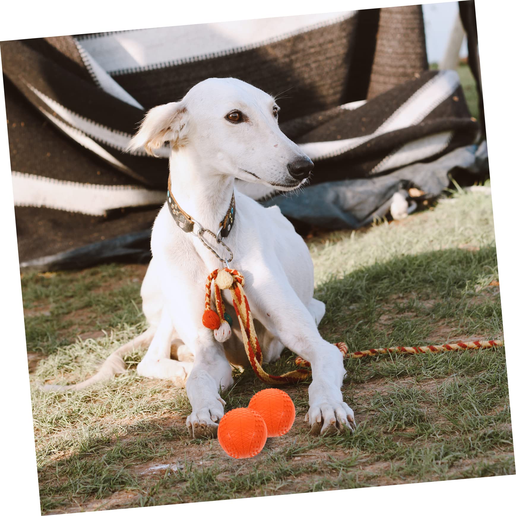 ORFOFE 4stücke Hundeball Spielzeug für Kleine und Mittelgroße Hunde Apportierball aus Robustem Gummimaterial Bissfest und Abriebfest Geeignet für Drinnen und Draußen