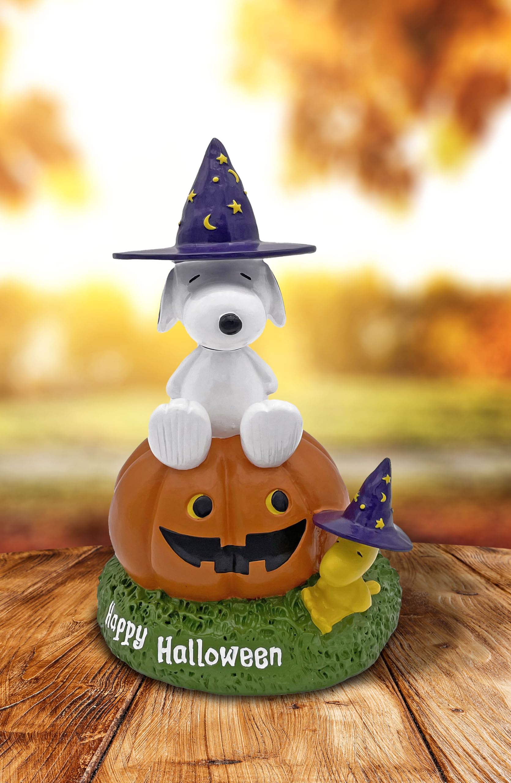 サボテン SNOOPY Amazon.com: BACKYARD GLORY Peanuts® Snoopy and Woodstock on Jack-o