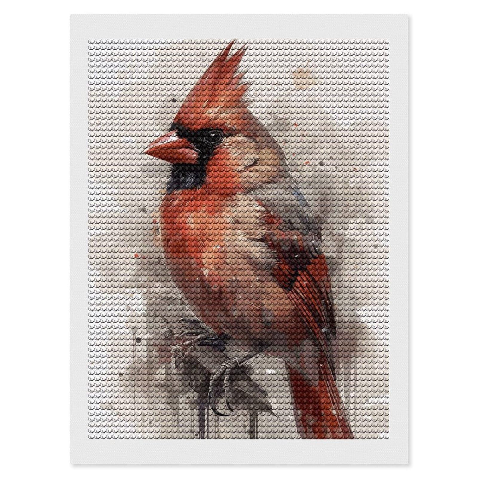 Junmoney Cardinal Watercolor Painting Diamond Painting Canvas Set 12"x16", Boho Decor, for Craft Lovers, Easy Handmade Project, Holiday Gift Idea