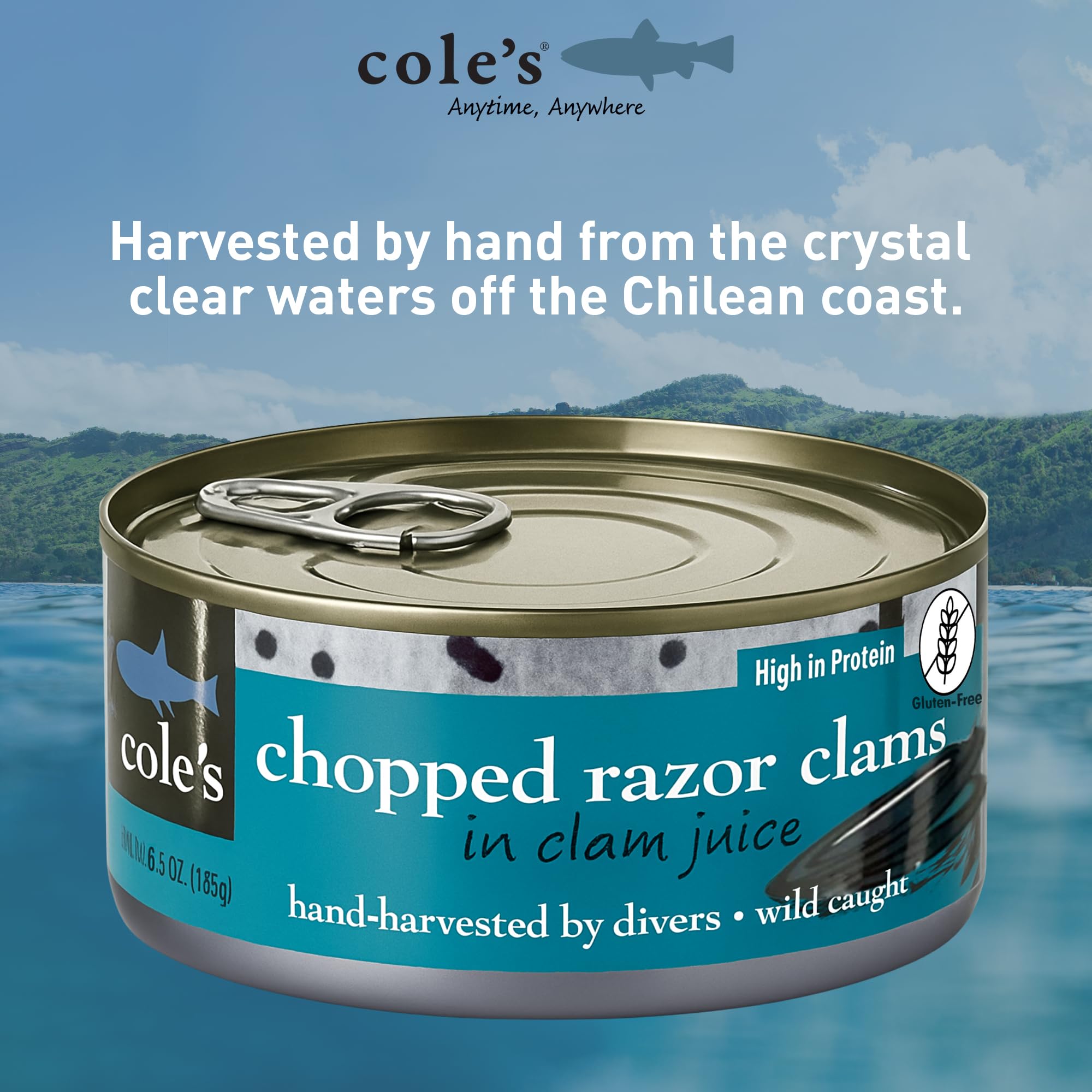 COLES CANNED AND CHOPPED CLAMS - Harvested in Crystal Clear Water, Gluten Free Food, High Protein and Low-Calorie Clams – Pack of 12 (6.5 oz per)