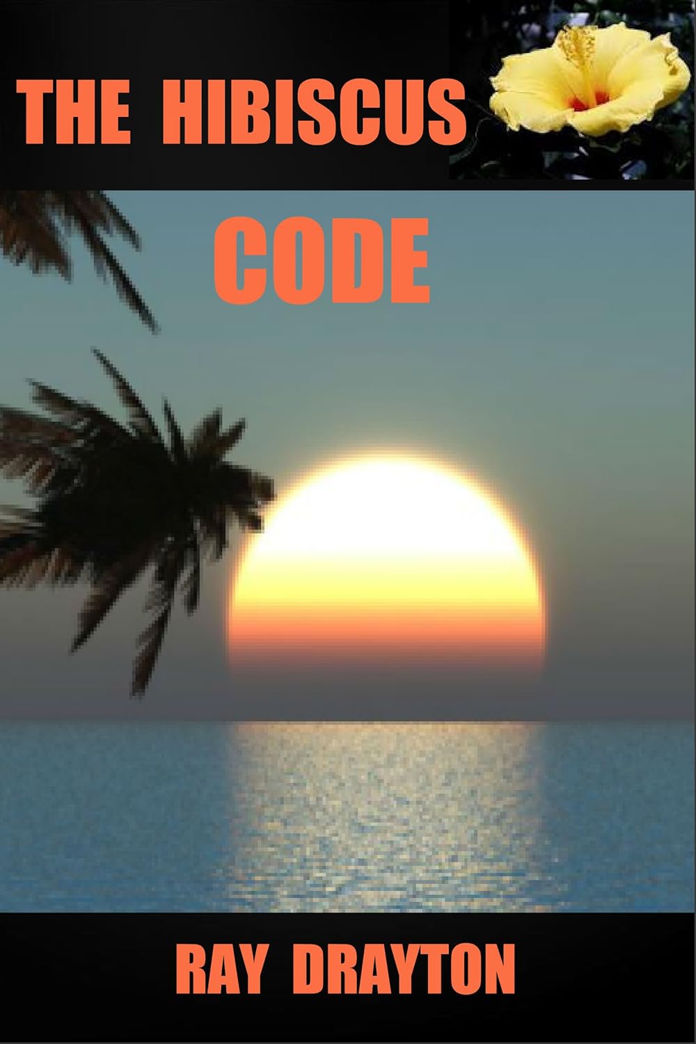 Amazon.com: THE HIBISCUS CODE eBook : Drayton, Ray: Kindle Store