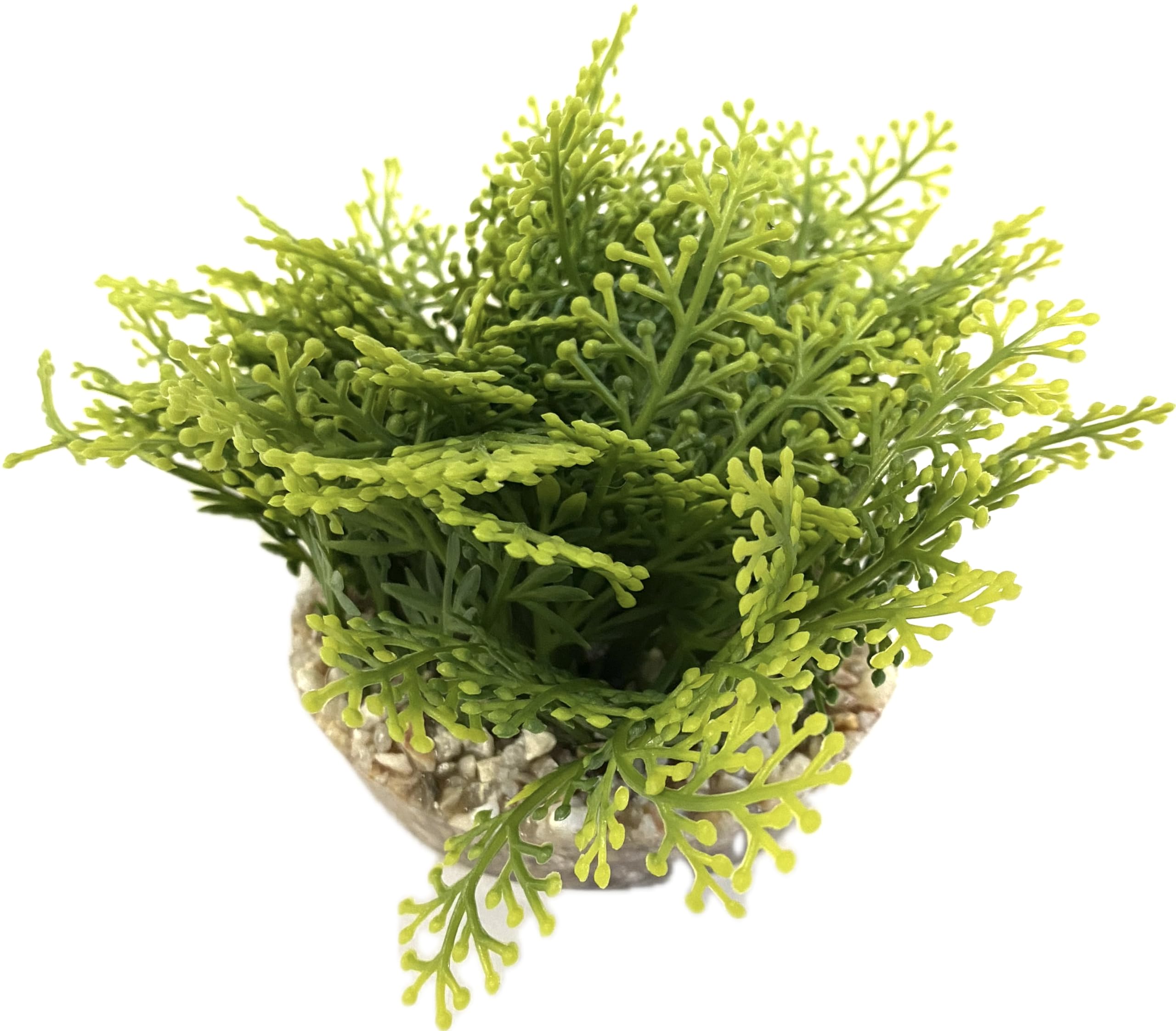 Tyrol Artificial Aquarium Plant XL 20 cm - Indoor Plastic Plant on Base - Green Foam Mat - Easy Anchor to Bottom of Aquarium - Made in