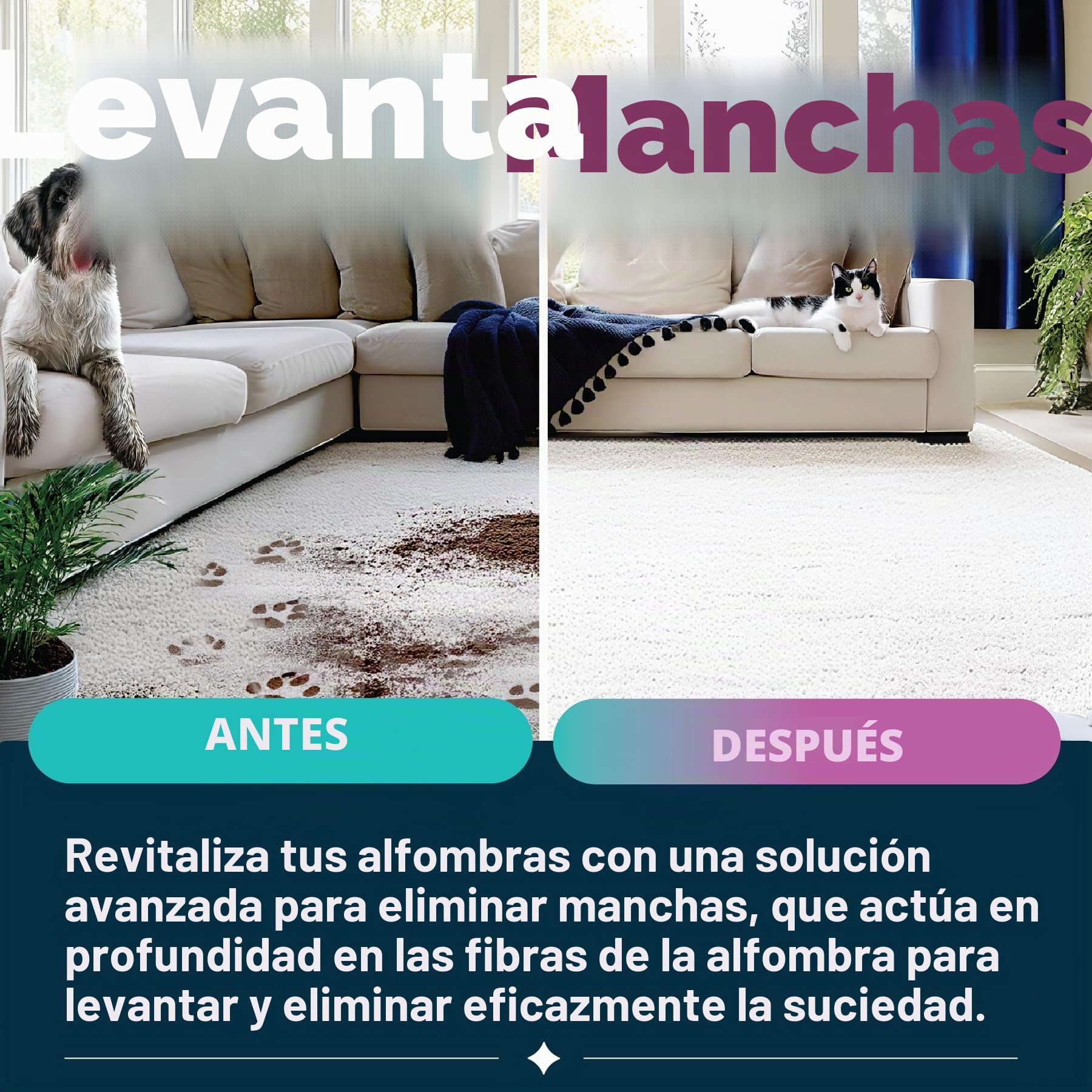 Dirtbusters Pet Pro - Solución de champú limpiador de alfombras, removedor de manchas de limpieza profunda con neutralizador de olores para eliminar la orina de perros y gatos, solución limpiadora de