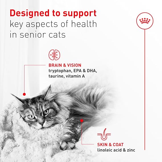 Royal Canin Feline Health Nutrition Aging 11+ Wet Cat Food for Seniors, Thin Slices in Gravy for Cats Over 11 Years, Supports Optimal Health & Vitality, 3 oz can, Case of 6