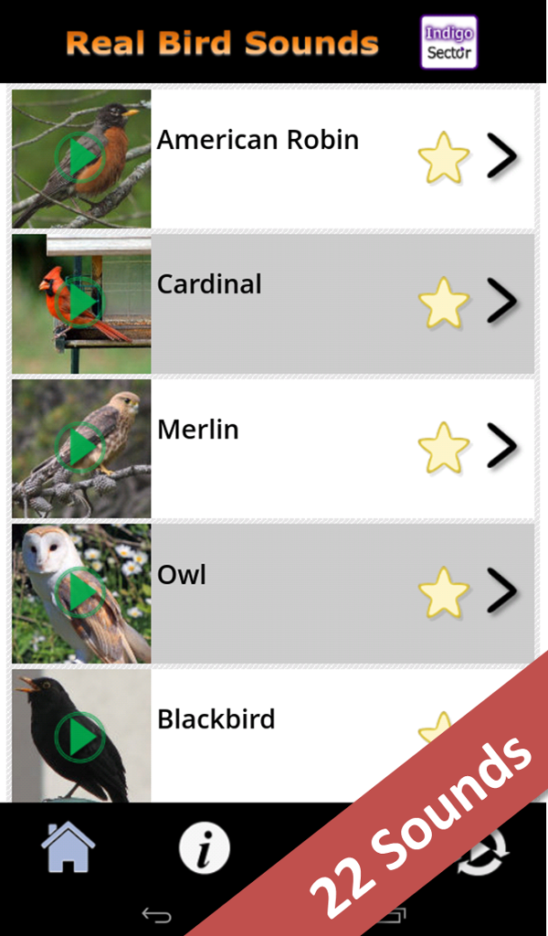Real Bird Sounds App on Amazon Appstore