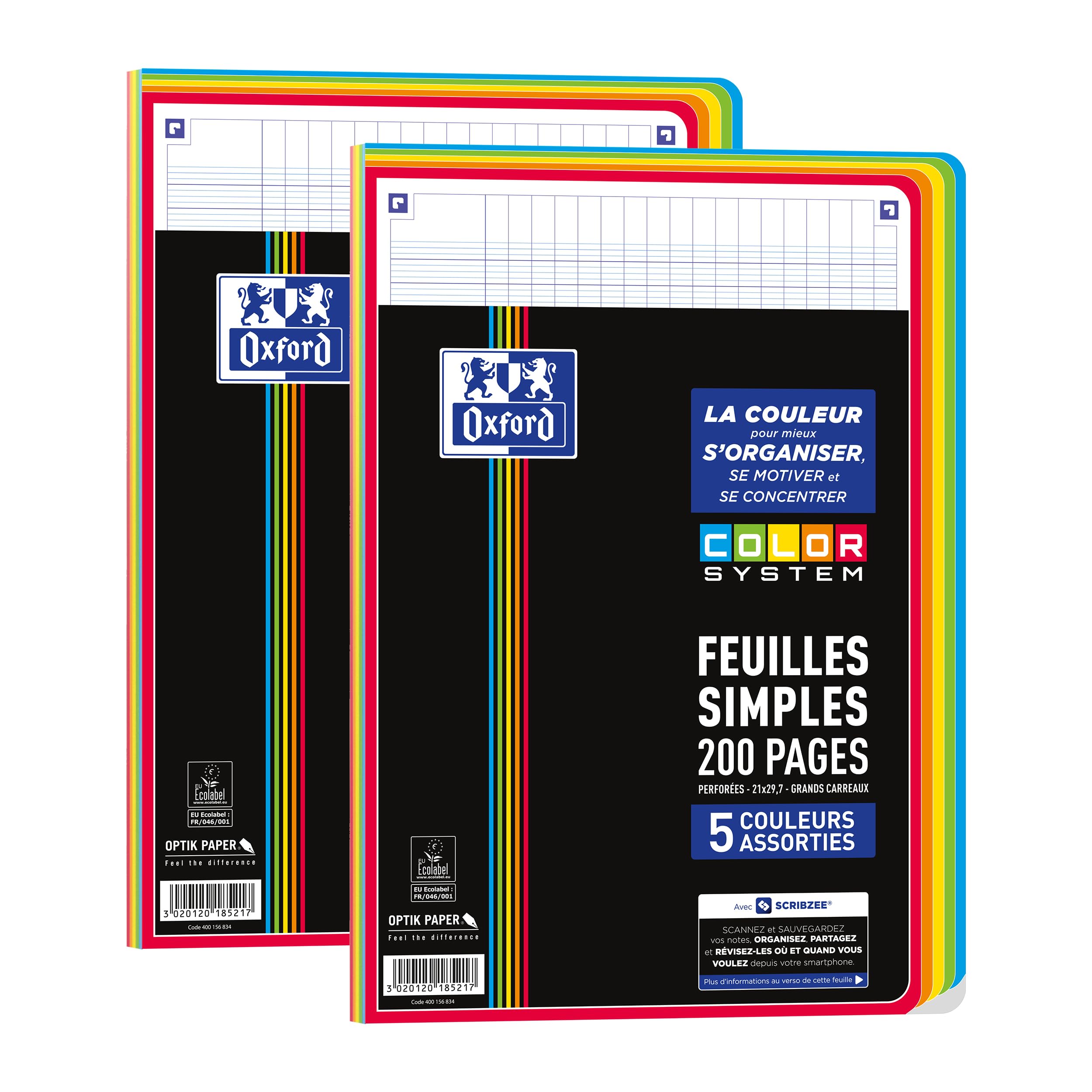 Pack of 2 Single Sheets Color System A4 Perforated 200 Pages Large Seyès Squares 5 Assorted Colours of Frames in Film