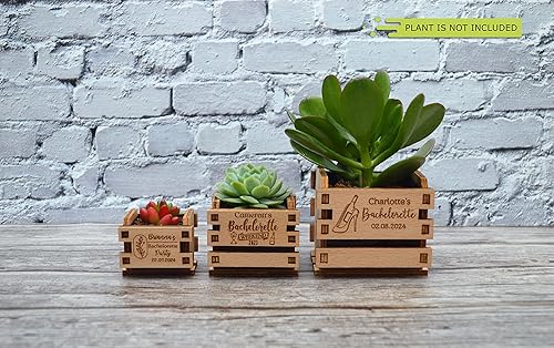 Miniatura 4 de Regalos de despedida de soltera - Regalos de despedida de soltera para damas de honor - Decoración de despedida de soltera - Mini maceta