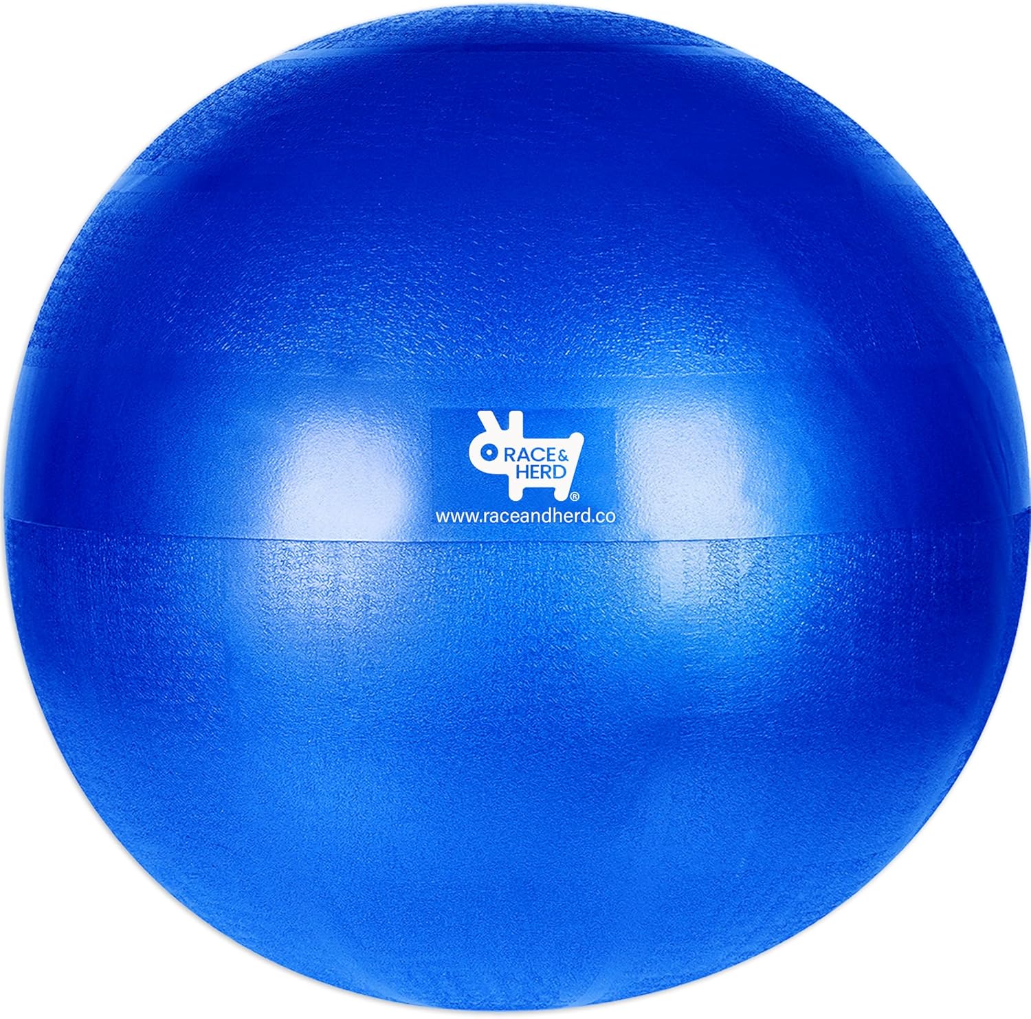 Race&Herd Herding Ball Inner Replacement for Dogs, Medium, 25'' (Blue) 25" Replacement Inner Ball
