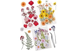 Cinvo Real Dried Pressed Flowers Embellishments