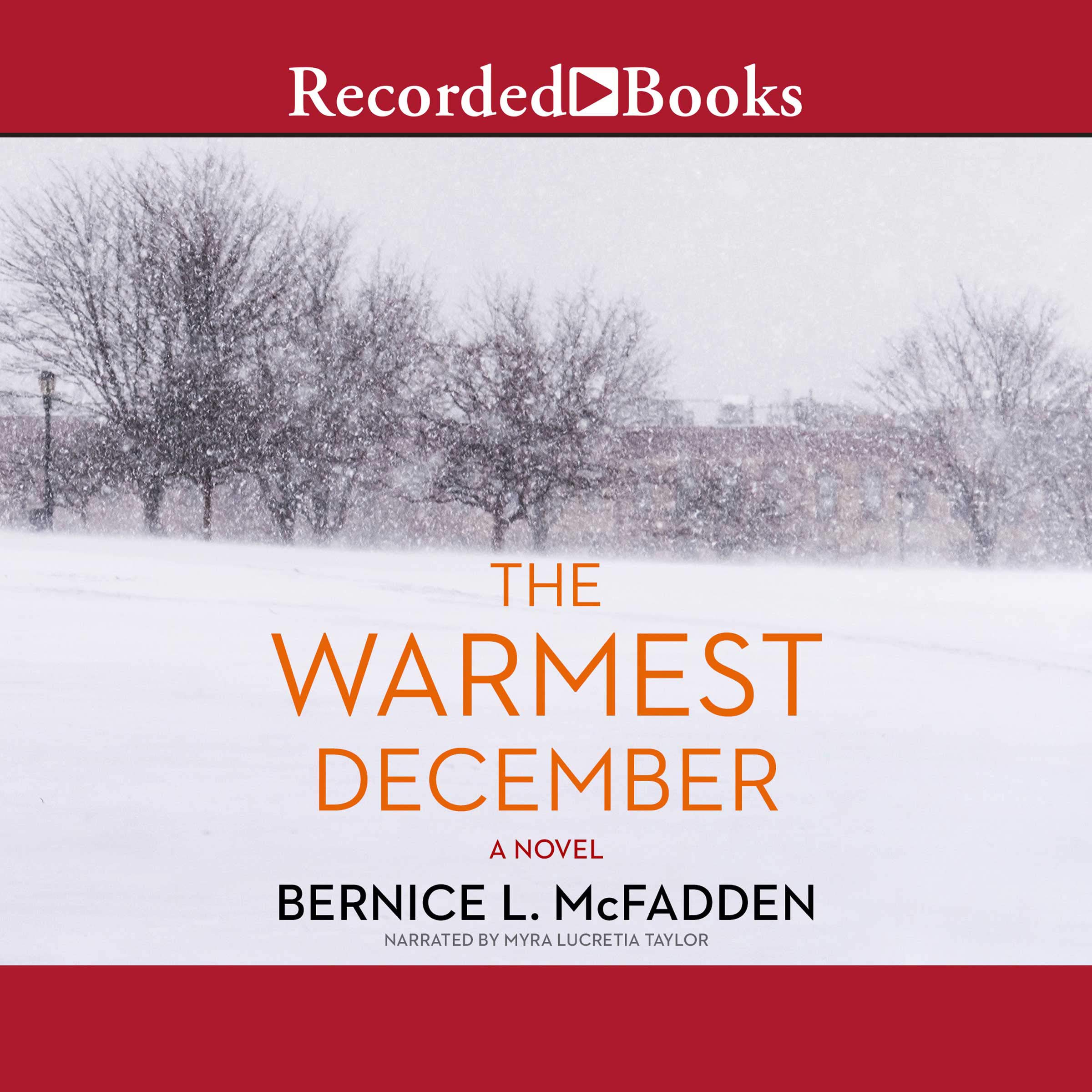 Cover art for The Warmest December