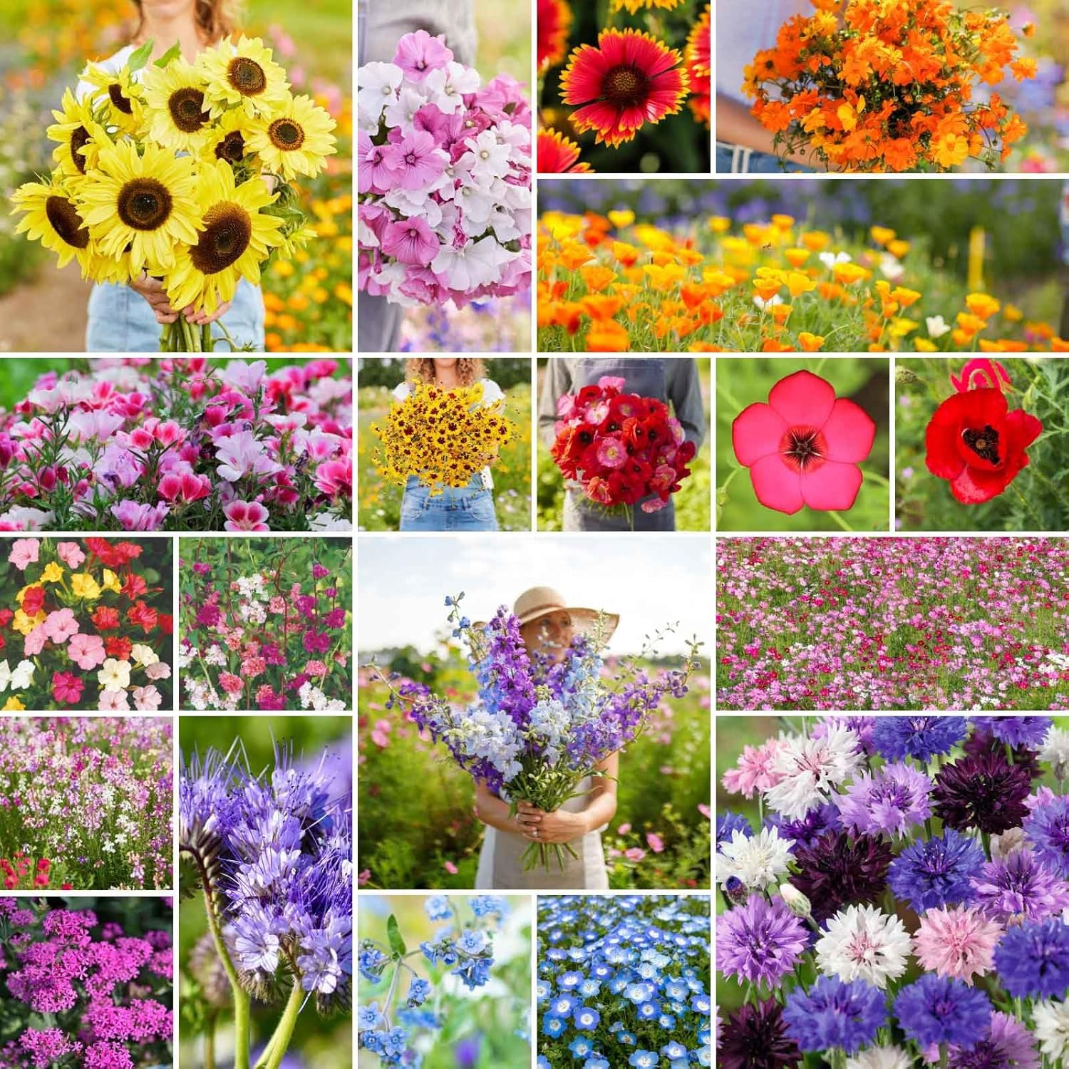 Flores