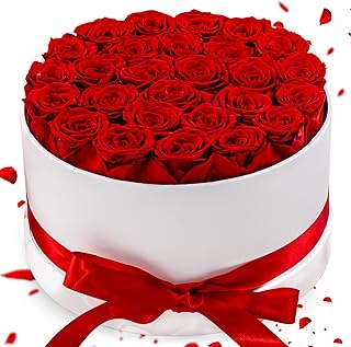 27 Forever Roses in Luxury White Box, Eternal Real Roses Gift for Women, Preserved Flowers for Delivery Prime, Anniversary, Valentine's Day, Birthday for Her (Red)
