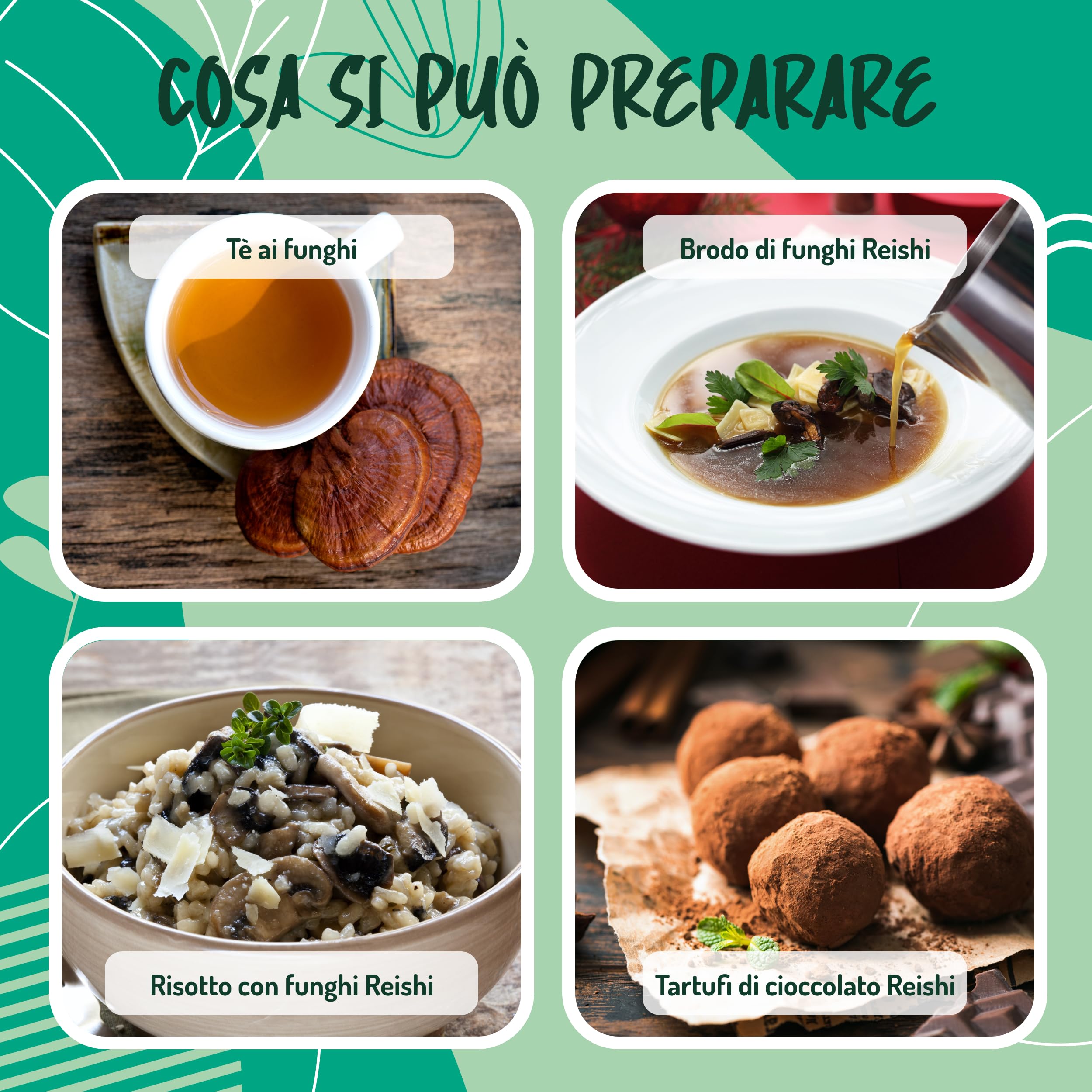 Reishi Ganoderma Lucidum Puro e Bio in Polvere - 300g. Fungo Reishi Biologico Essiccato al Sole e Macinato a Basse Temperature. Funghi medicinali Fonte di Antiossidanti, Fungo Cinese Reishi