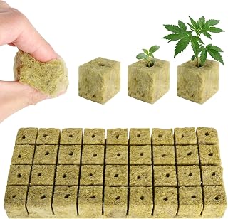 36 Stück Steinwolle Anzucht Würfel,Steinwolle Grow Cube Set,Anzuchtwürfel,Anzucht Anzuchtmatte für hydroponischen Anbau Bodenlos Anbau Rockwool Cube,Gemüse stecklinge anzucht Kolonisation 3 * 3 * 4cm