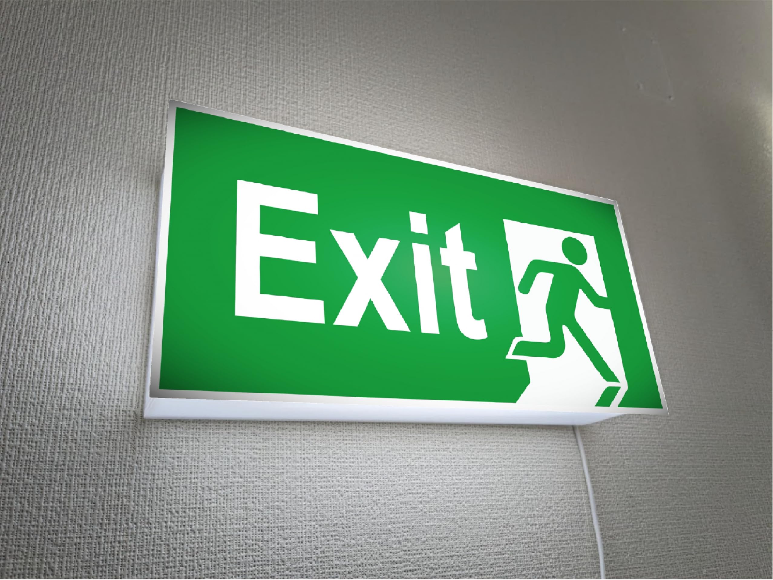Amazon | 【Lサイズ 壁掛け】EXIT 非常口 出口 避難灯 アメリカン 