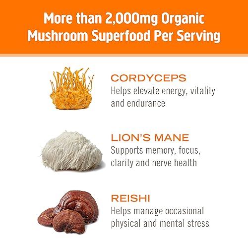 Miniatura 6 de Om Mushroom Superfood Energy Plus - Mezcla de bebidas en polvo de hongos, naranja cítricos, porción, 10 unidades, mezcla de setas, Cordyceps, Yerba
